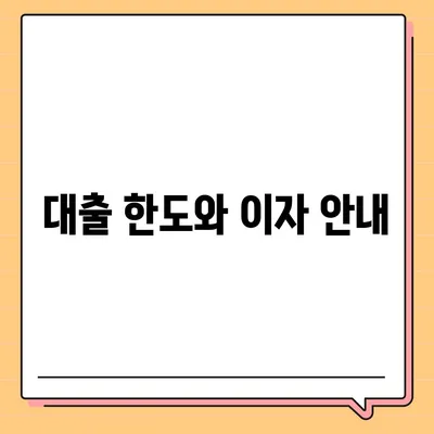 카카오뱅크 pc버전 비상금대출 pc버전 방법