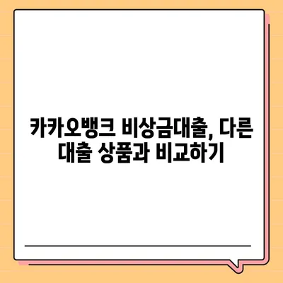 카카오뱅크 비상금대출