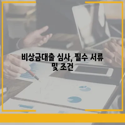 카카오뱅크 pc버전 비상금대출 pc버전 거절