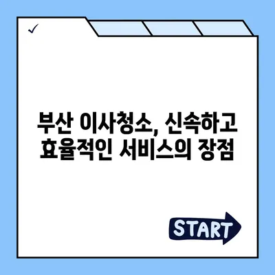 부산 이사청소 업체의 탁월한 서비스