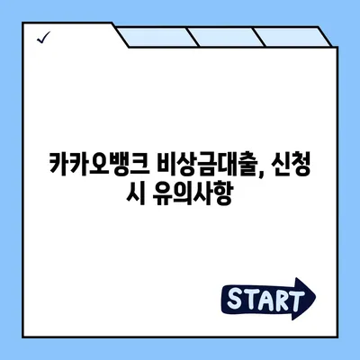 카카오뱅크 pc버전 비상금대출 pc버전 거절