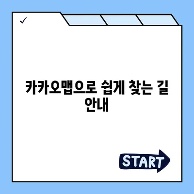 카카오맵