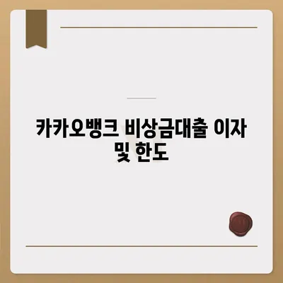 카카오뱅크 비상금대출 신청