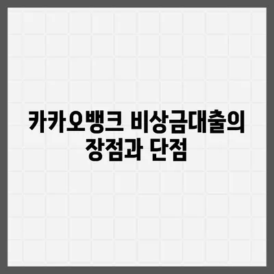 카카오뱅크 비상금대출 후기