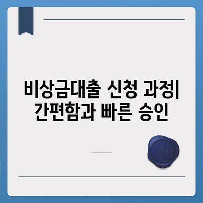 카카오뱅크 비상금대출 후기