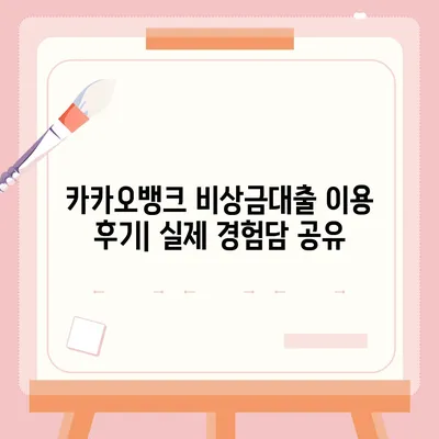 카카오뱅크 비상금대출 후기