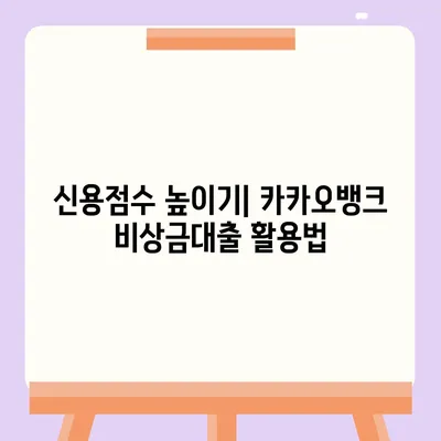 카카오뱅크 비상금대출 신용점수