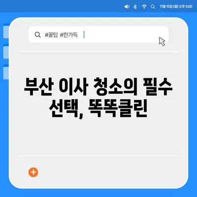 부산 최고의 이사 청소 업체 | 똑똑클린의 1대1 완벽 세척