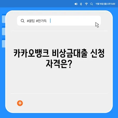 카카오뱅크 pc버전 비상금대출 pc버전 조건