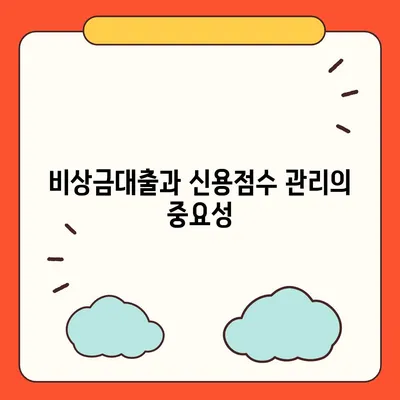 카카오뱅크 비상금대출 신용점수