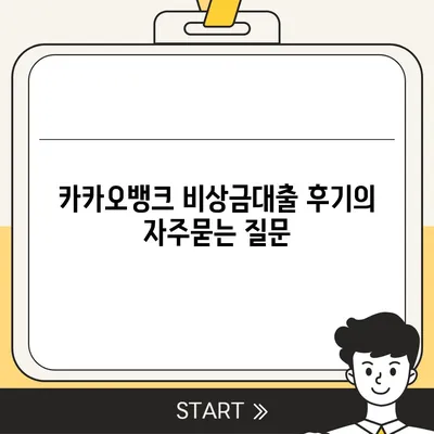 카카오뱅크 비상금대출 후기