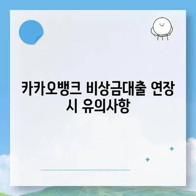 카카오뱅크 비상금대출 연장