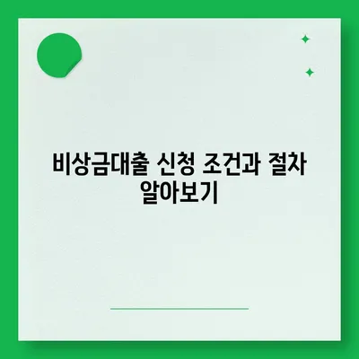 카카오뱅크 pc버전 비상금대출 신청