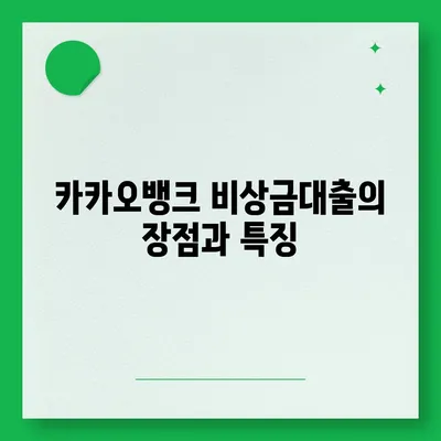 카카오뱅크 pc버전 비상금대출 신청