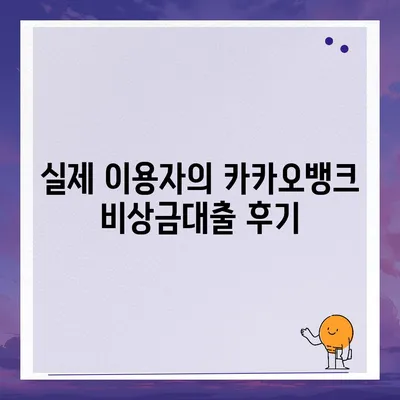 카카오뱅크 비상금대출 후기