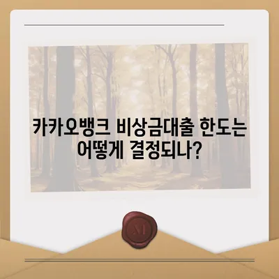 카카오뱅크 비상금대출 조건