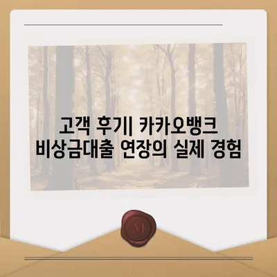 카카오뱅크 비상금대출 연장