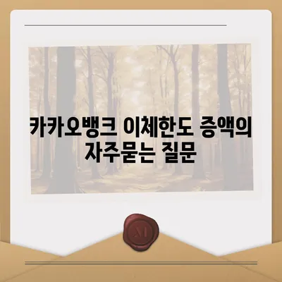 카카오뱅크 이체한도 증액