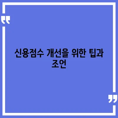 카카오뱅크 pc버전 비상금대출 신용점수