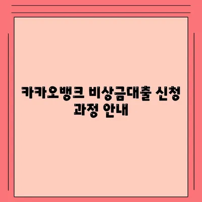 카카오뱅크 비상금대출 신청