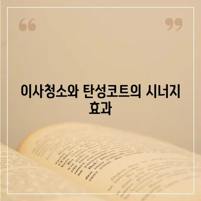 이사청소를 위한 탄성코트 시공 전 후 비교