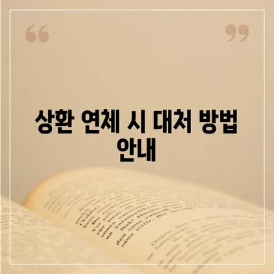 카카오뱅크 비상금대출 상환