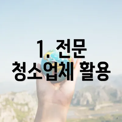 1. 전문 청소업체 활용