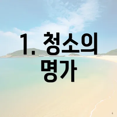 1. 청소의 명가