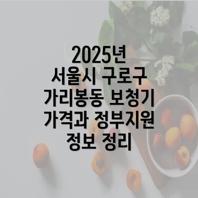 2025년 서울시 구로구 가리봉동 보청기 가격과 정부지원 정보 정리