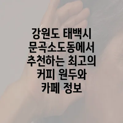 강원도 태백시 문곡소도동에서 추천하는 최고의 커피 원두와 카페 정보