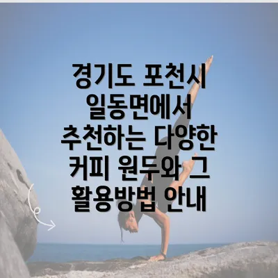 경기도 포천시 일동면에서 추천하는 다양한 커피 원두와 그 활용방법 안내