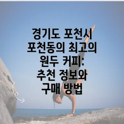 경기도 포천시 포천동의 최고의 원두 커피: 추천 정보와 구매 방법