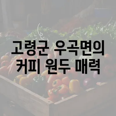 고령군 우곡면의 커피 원두 매력