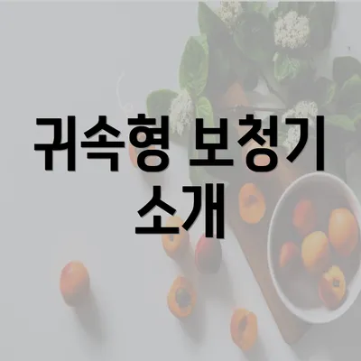 귀속형 보청기 소개