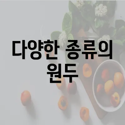 다양한 종류의 원두