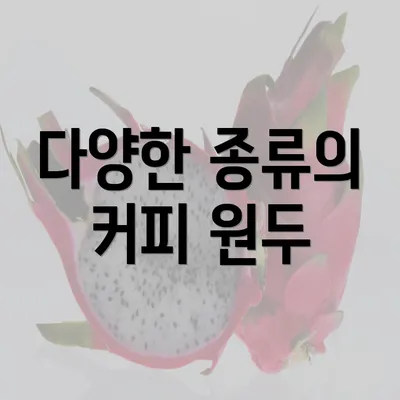 다양한 종류의 커피 원두