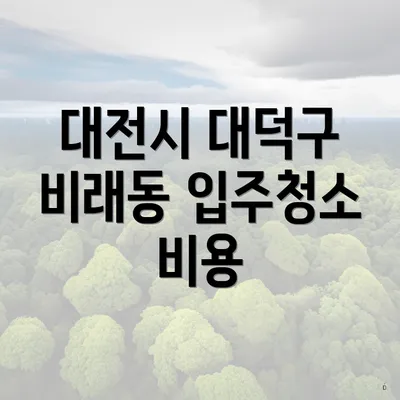 대전시 대덕구 비래동 입주청소 비용