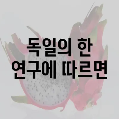 독일의 한 연구에 따르면