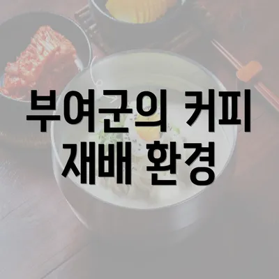 부여군의 커피 재배 환경