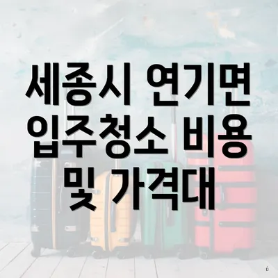 세종시 연기면 입주청소 비용 및 가격대