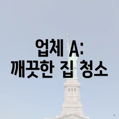 업체 A: 깨끗한 집 청소