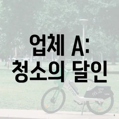 업체 A: 청소의 달인