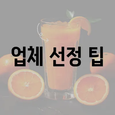 업체 선정 팁