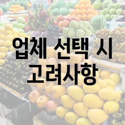 업체 선택 시 고려사항