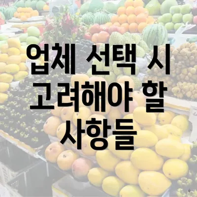 업체 선택 시 고려해야 할 사항들