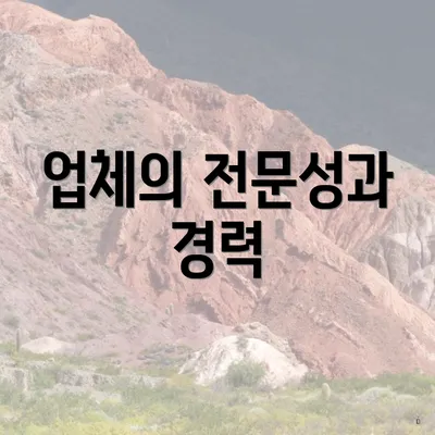 업체의 전문성과 경력