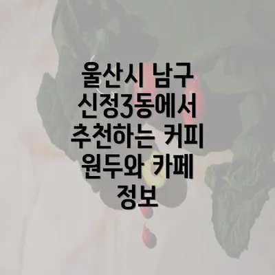 울산시 남구 신정3동에서 추천하는 커피 원두와 카페 정보