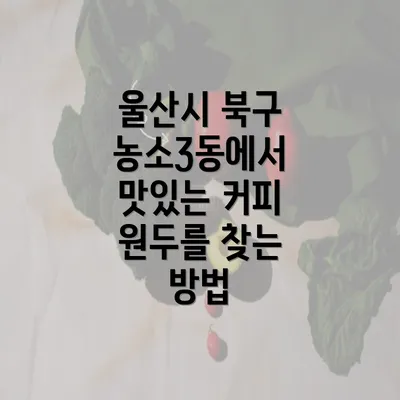 울산시 북구 농소3동에서 맛있는 커피 원두를 찾는 방법