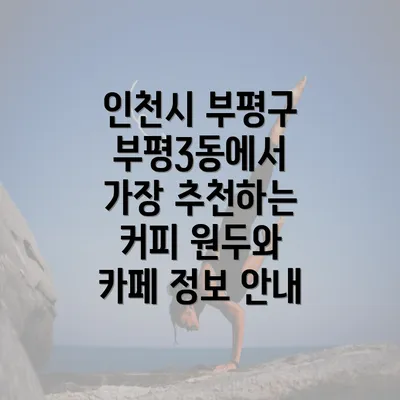 인천시 부평구 부평3동에서 가장 추천하는 커피 원두와 카페 정보 안내