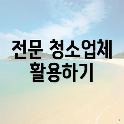 전문 청소업체 활용하기